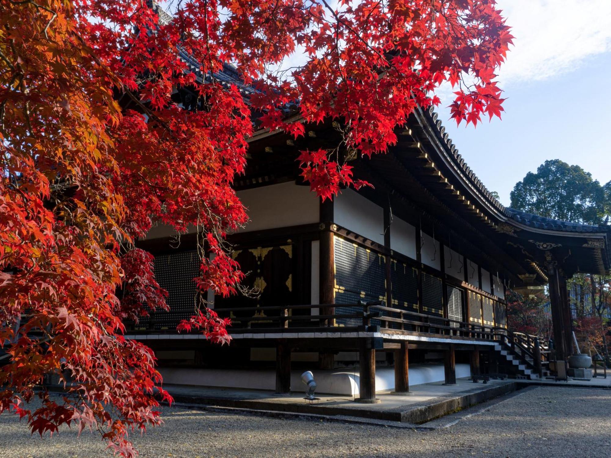The Blossom Kyoto Exteriör bild