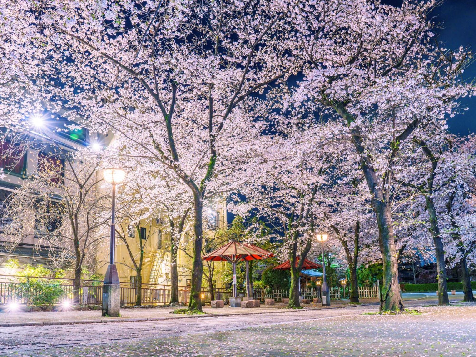 The Blossom Kyoto Exteriör bild
